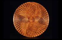 Zebrawood Bowl